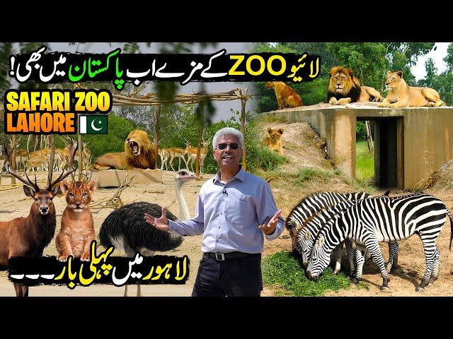 Live Safari Zoo In Lahore | Zoo Like Europe | Amazing Place For Picnic | Discover Pakistan