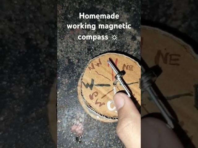 Homemade working magnetic compass  #mrart #art #like