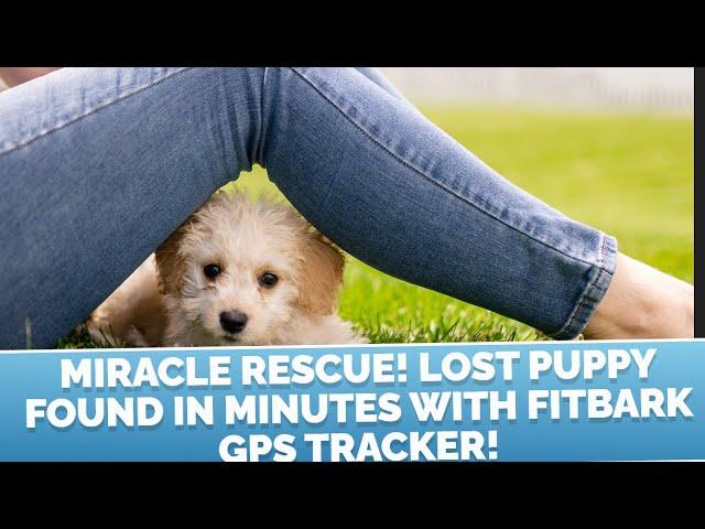 Miracle Rescue!  Lost Puppy Found in Minutes with Fitbark GPS Dog Tracker!