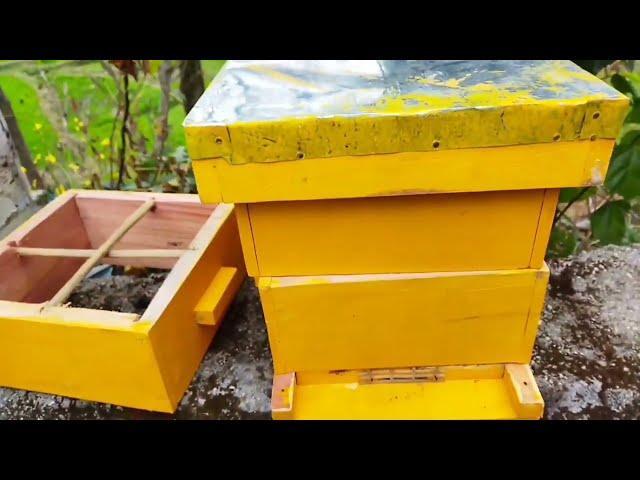 NEW EXPERIMENT IN INDIA (H.P)# HOW TO INSTALL HONEY BEE IN JAPANESE BEE BOX & IT'S WORKING (PART -1)