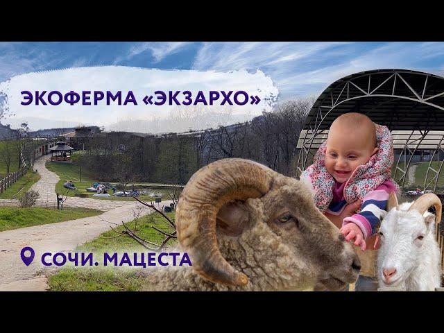 Ферма Экзархо Сочи  Экоферма сочи