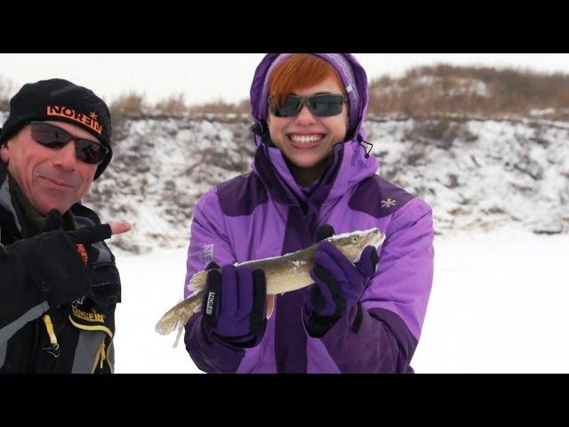 Pike fishing in winter on the balancer