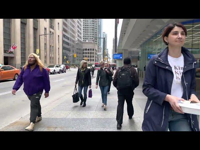 Toronto Downtown Walk - Financial District Bay Street  Canada Travel vlog