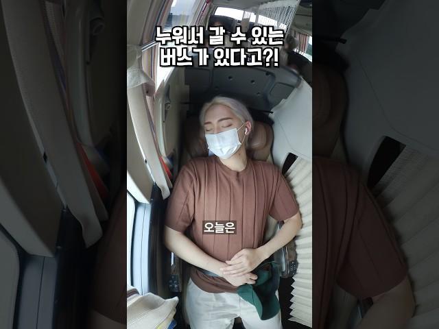 누워서 갈 수 있는 일등석 버스가 있다고?!