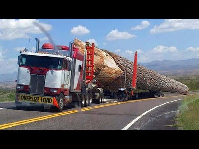 Dangerous Fastest Biggest Logging Wood Truck Operator Skills, Climbing Truck Heavy Equipment Working