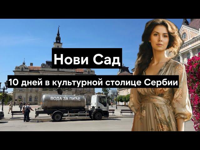 10 дней в Нови Саде - центр города, ночной рынок, жизнь в Сербии