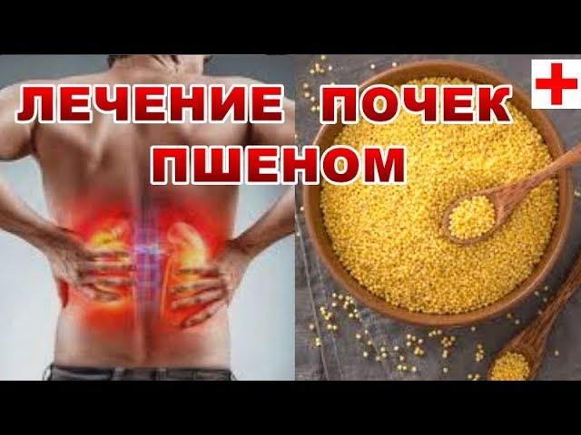 ЛЕЧЕНИЕ ПОЧЕК И МОЧЕПОЛОВОЙ СИСТЕМЫ ПШЕНОМ.КАК УДАЛИТЬ МЕЛКИЕ КАМНИ и ПЕСОК. РЕЦЕПТ- НАСТОЕК,ОТВАРОВ