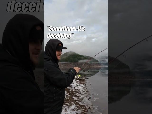 Fish on! Winter trout grabs the bait! #ftwq #fishthatwontquit #fishingvideos #troutfishing  #fishing