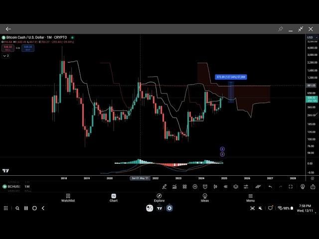 Bitcoin Cash price analysis December 2024 - bch / usd