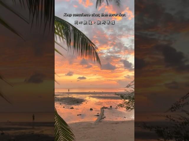 生活勵志小語 #Inspirational #inspirationalquotes #inspirationalwords #勵志語錄 #勵志正能量 #英語學習 #英文格言 #學英文 #shorts