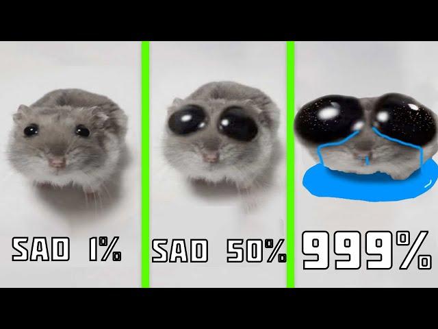 Sad Hamster Everytime with more sad