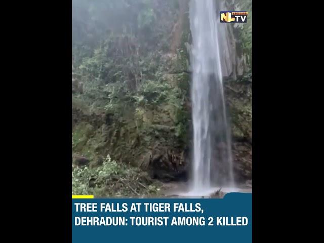 TREE FALLS AT TIGER FALLS, DEHRADUN: TOURIST AMONG 2 KILLED