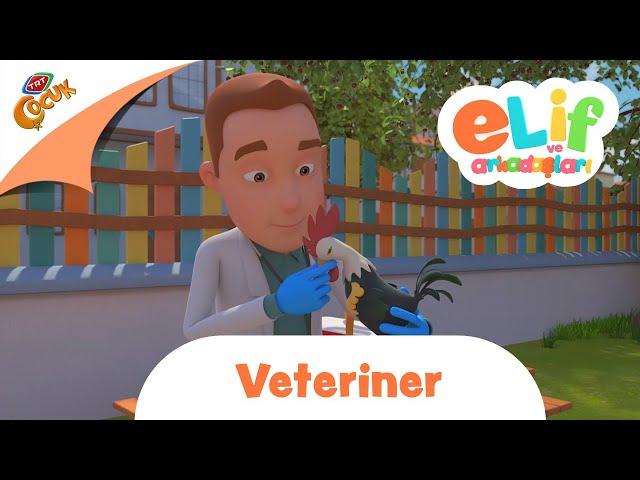 Elif ve Arkadaşları | veteriner