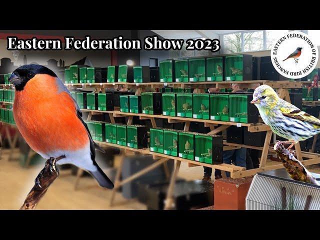 Eastern Fed British Bird Show 2023