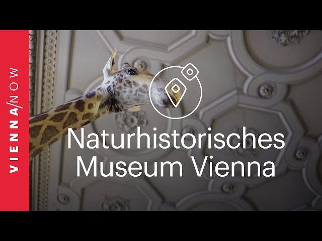 Natural History Museum Vienna