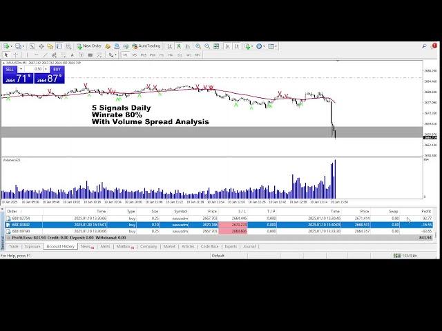 Forex Gold Live Trading NFP LIVE | 85% Winrate LIVE Forex Signals Analysis