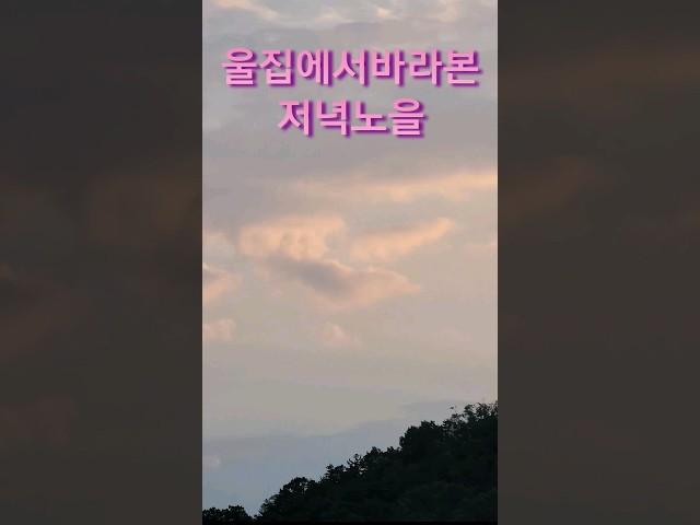 #박서진#노을#요즘다시인기곡#금오산의 여인