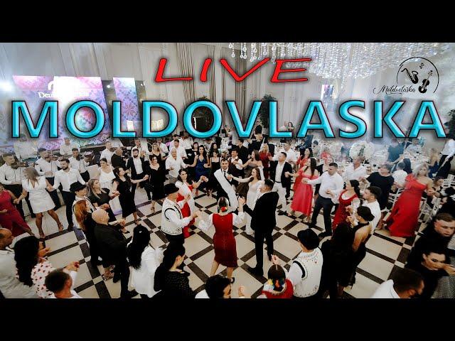 NEW  orchestra *Moldovlaska* PROGRAM  LIVE la nunta lui Denis si Mariela VOLEAC