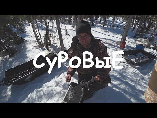 Мечта любого РыБаКа и ОЛЕГА!!!! Заповедные реки Севера! №1