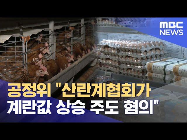 공정위 "산란계협회가 계란값 상승 주도 혐의" (2025.06.16/뉴스외전/MBC)