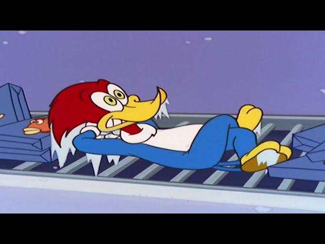 Woody Woodpecker | Woody becomes frozen food + More Full Episodes