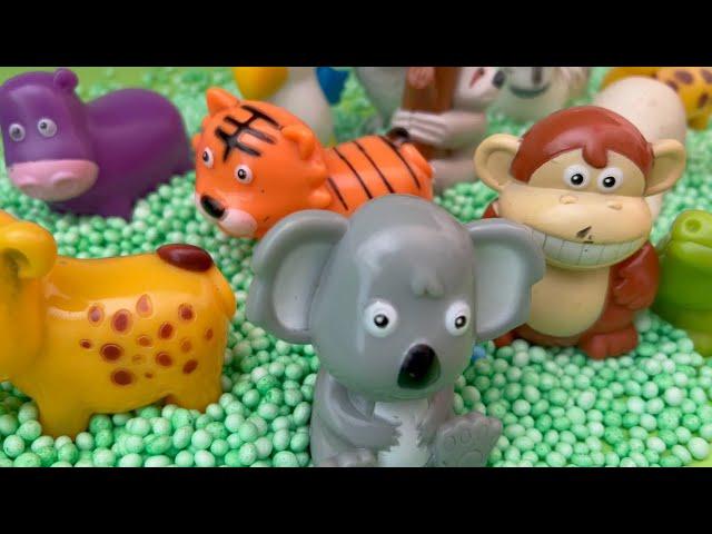 Amazing Zoo Animal Toys for Kids