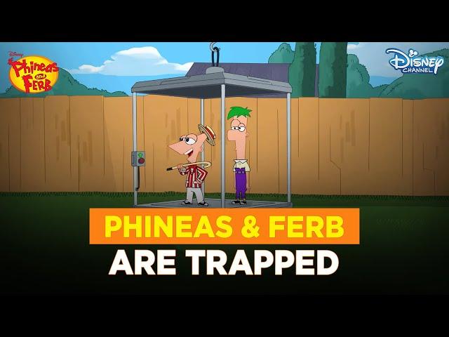 Invention padaa khud pe bhaari | Phineas And Ferb | @disneyindia