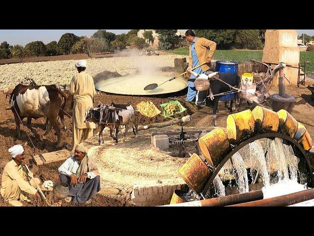 Unseen Beautiful Village Life in Pakistan | Beautiful Old Culture of Punjab