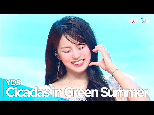 [4K] YDS(여동생) - 'Cicadas in Green Summer (초록 여름 매미)' _ EP.626 | #SimplyKPopCONTOUR