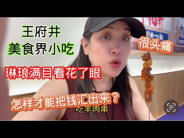 北京王府井美食界小吃品种繁多， 挑花了眼。现在往美国汇款条条框框太多. Beijing Wang Fu Jing Food Court .