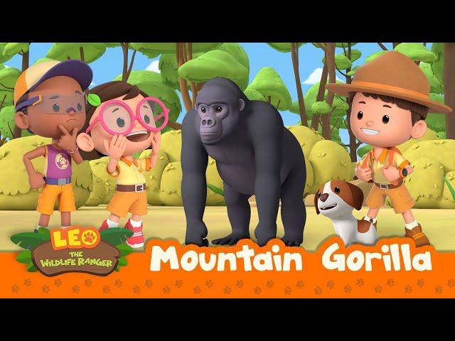 Mountain Gorilla | It's An Earthquake! Get To Safety! | Leo the Wildlife Ranger Season 2 | For Kids