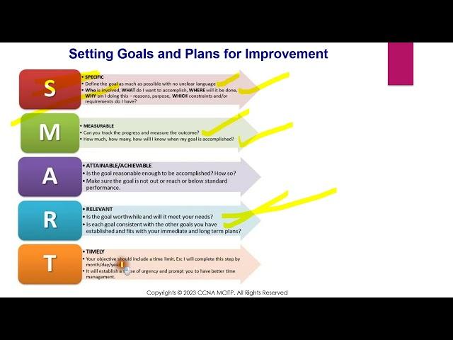 Performance Management, Performance Improvement Plan (PIP), Setting Performance Criteria & Standards