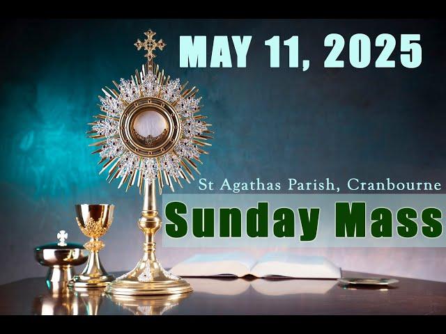 Holy Mass - 11/05/2025 -Sunday