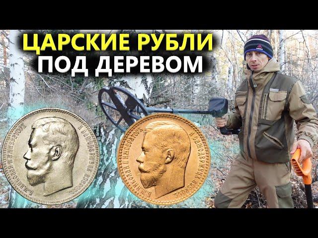 Царские рубли лежали в корне дерева! Пришлось вырубить лес. Коп поиск монет 2022