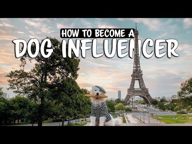 How to become a successful Petfluencer in 2024