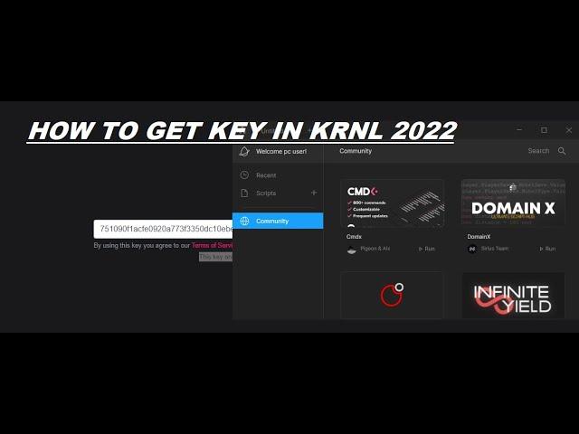 HOW TO GET KRNL KEY + BLOX FRUIT SCRIPT 2022