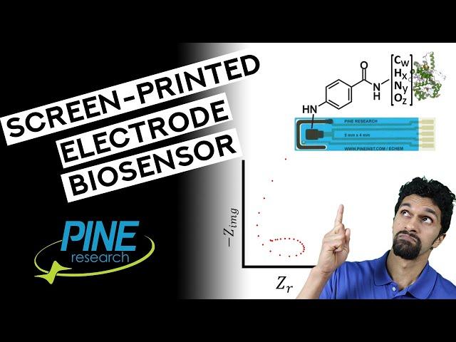 Electrochemical Impedance Spectroscopy of a Screen-Printed Electrode Biosensor (Inductive Loop!!)