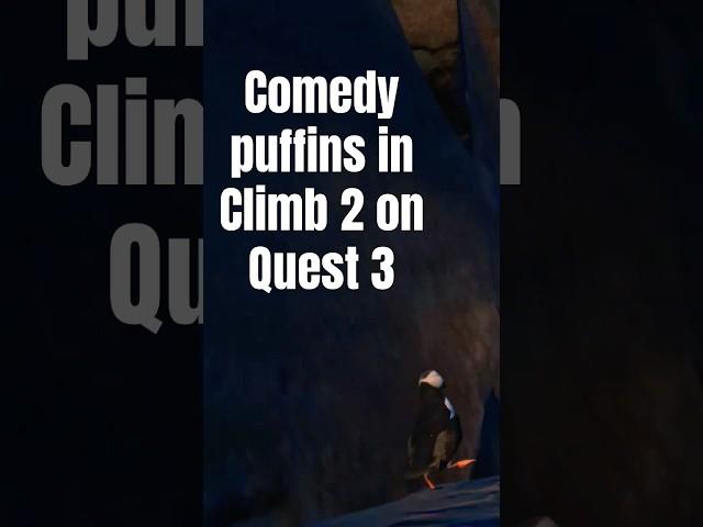 Puffin patrol in Climb 2 on Quest 3 #quest3