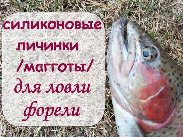 силиконовые личинки (магготы) для ловли форели