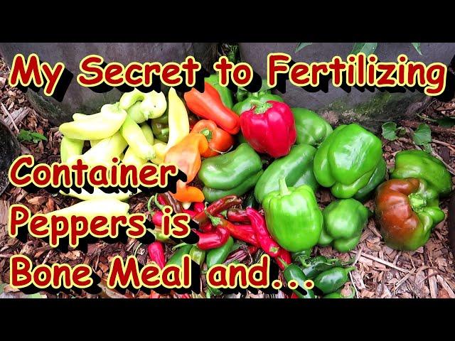 My Method to Preparing Containers for Growing Pepper Plants: Really Load in Slow Release Fertilizers