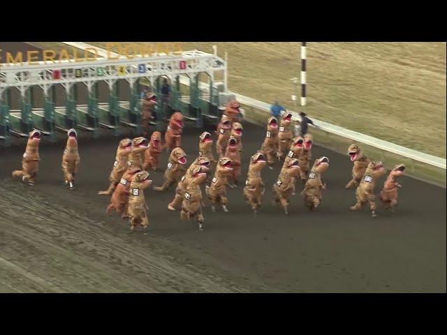 VIDEO: Dinosaurs take the track in viral T-Rex races