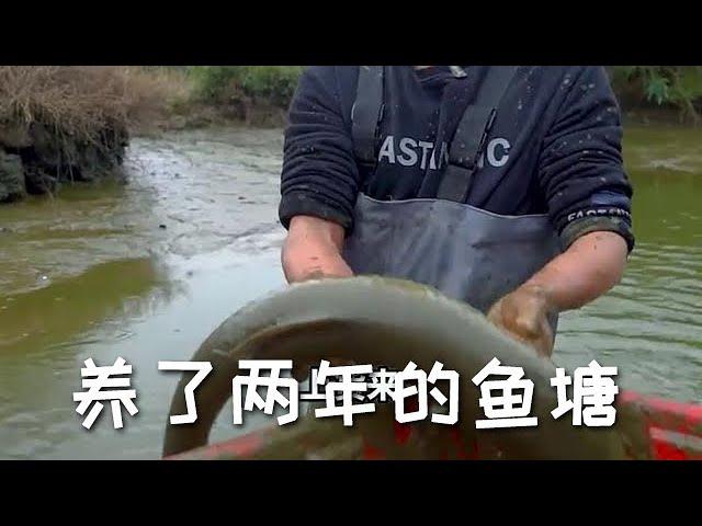 【戶外捕魚vlog】包下一位60歲大叔養了兩年的魚塘，裏面究竟有多少魚？#三農#戶外