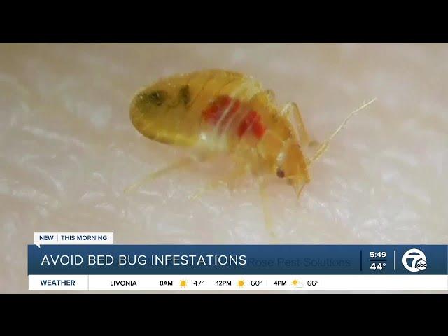 Rose Pest Solutions