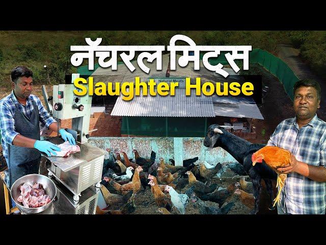 कोकणातील व्यवसाईकचे "Slaughter House" | Natural Meat | गावरान कोंबडी आणि फक्त बकरा मटण