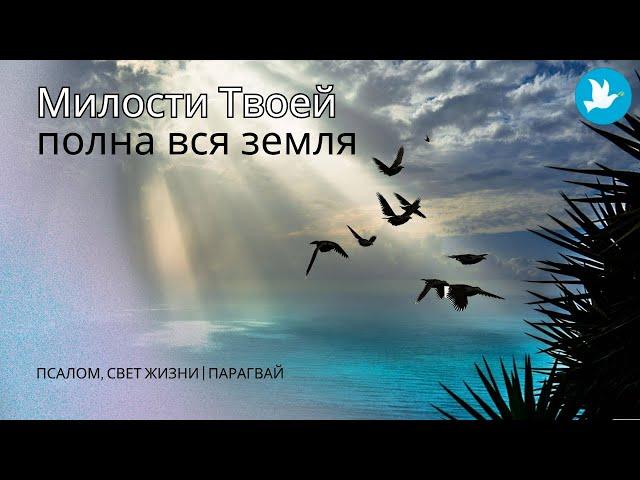 Свет жизни | Парагвай - Милости Твоей полна вся Земля