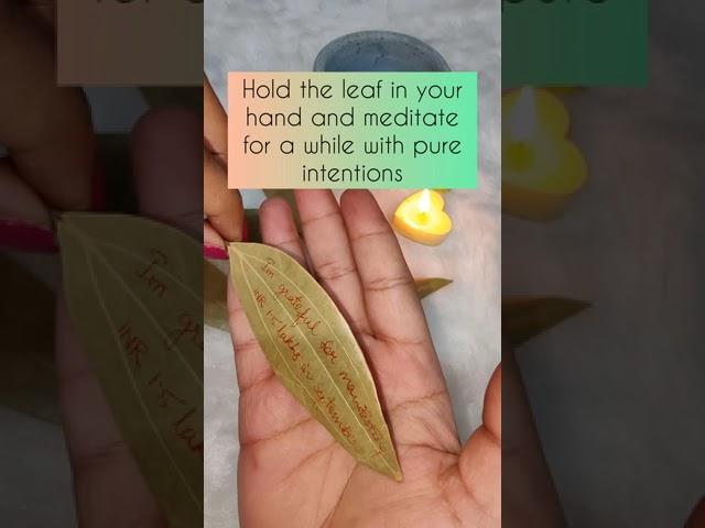 Harness the Power of Bay Leaf: Manifestation & Release | Manifest with Bay Leaves