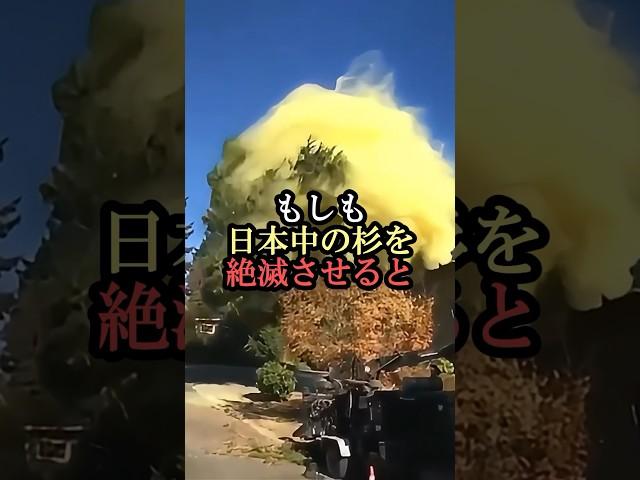 もしも日本中の杉を絶滅させると… #科学 #雑学 #実験 #花粉症