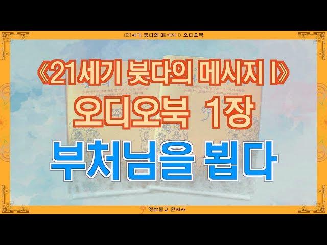 [⟪21세기 붓다의 메시지 I⟫ 오디오북] 1장 부처님을 뵙다 (영산불교 현지사 출간)