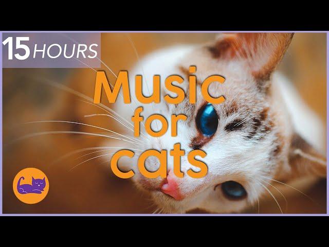 (NO ADS) 15 HOURS of Relaxing Cat Music - Instant Relaxation