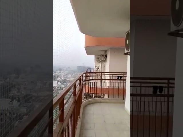 Best Cat Netting for Balcony |Garware cat safety net installation in Gurgaon, Faridabad, Noida,Delhi